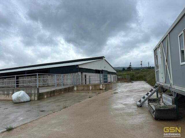 18-GSN GAYRİMENKUL'DEN AVRUPA STANDARTLARINDA RUHSATLI BESİÇİFTLİĞİ